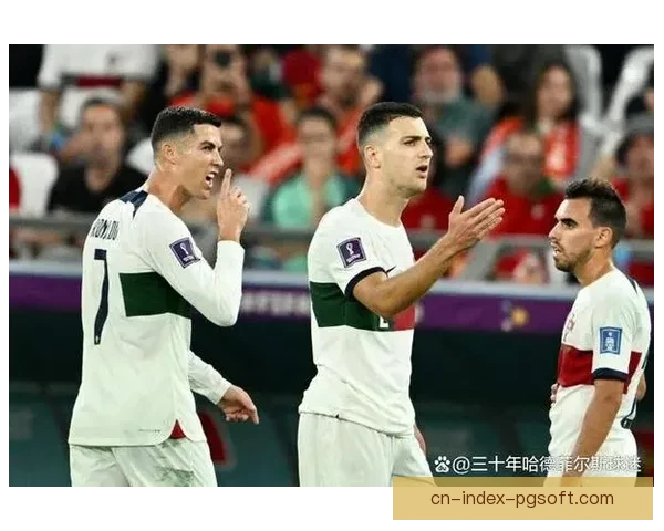 林加德加盟首尔FC引发轰动球迷热议亚洲足坛关注 林加德加盟首尔FC引发轰动球迷热议亚洲足坛关注